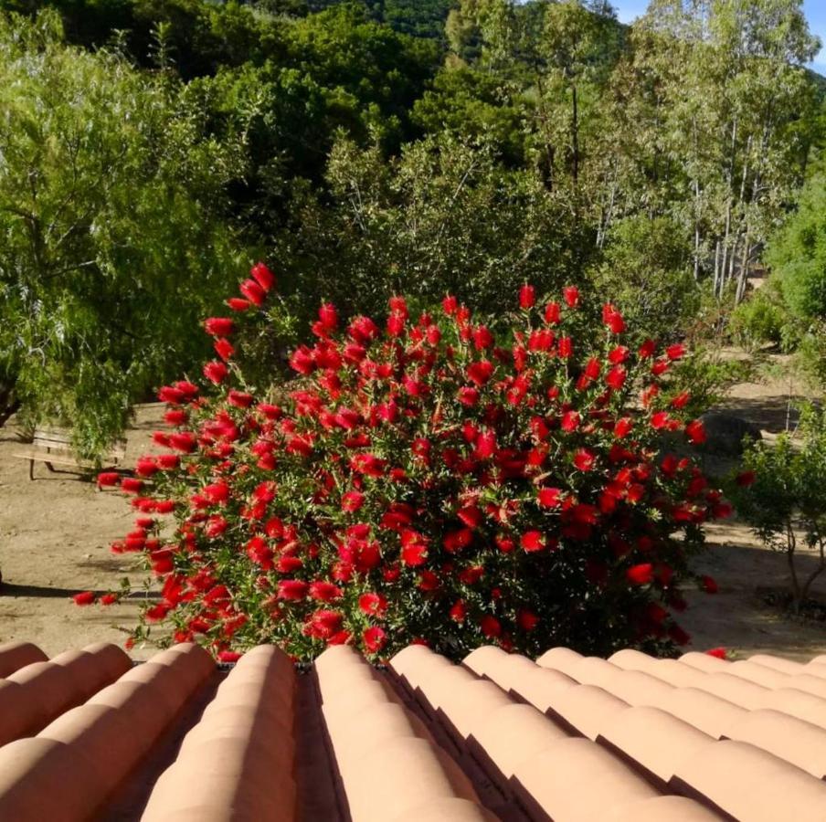 Rossofiore Castiadas Esterno foto